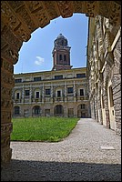 DSC_8303D.jpg