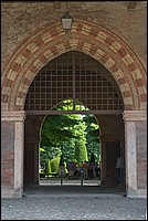 DSC_8382D.jpg