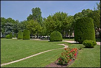 DSC_8390.JPG