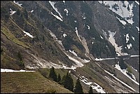 DSC_8447CK.jpg
