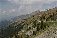 DSC_8449.JPG