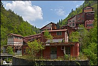 DSC_8492DGP.jpg