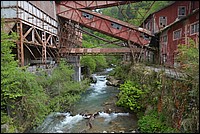 DSC_8510.JPG
