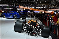 DSC_4591CE.jpg