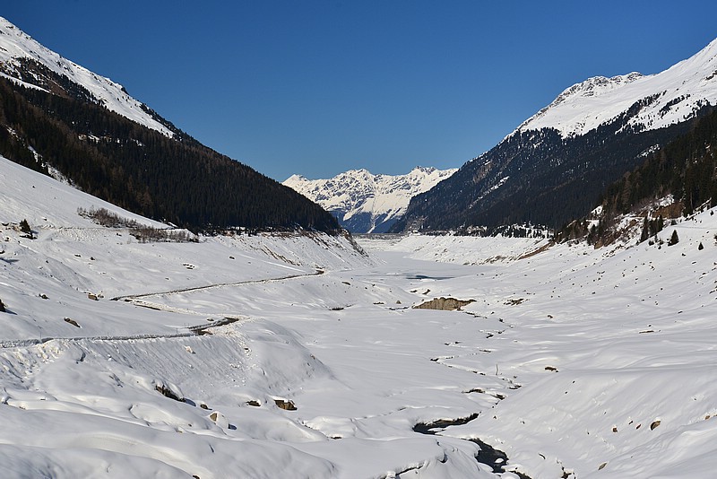DSC_4296B.jpg