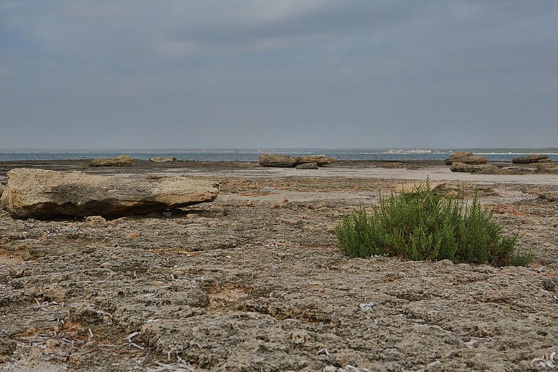 DSC_7462_TA.jpg
