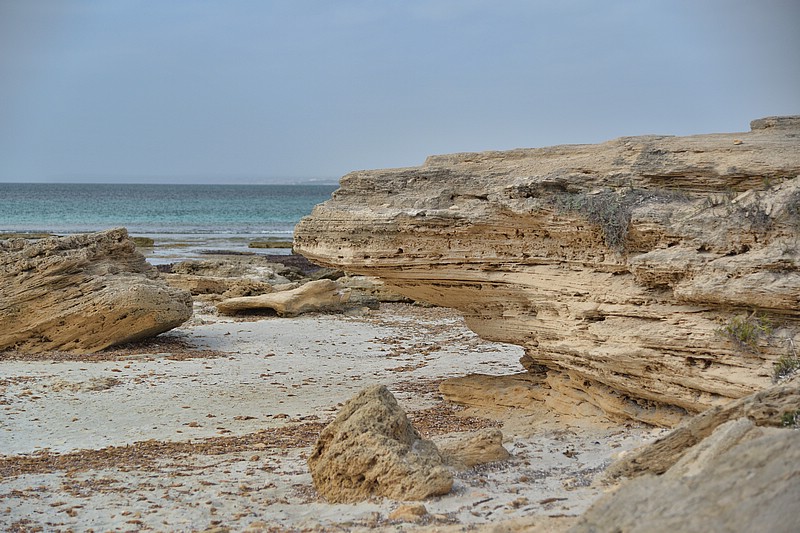 DSC_7485C_TA2.jpg