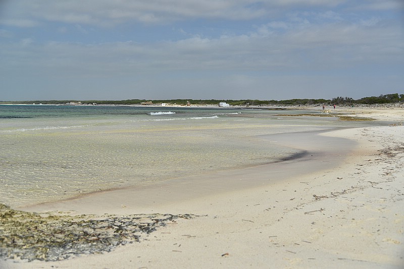 DSC_7533_TA.jpg