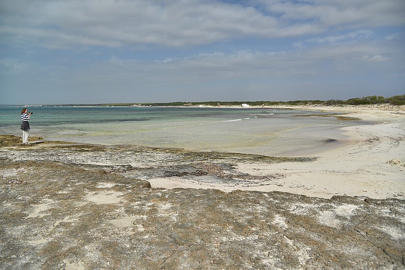 DSC_7547CE_TA.jpg