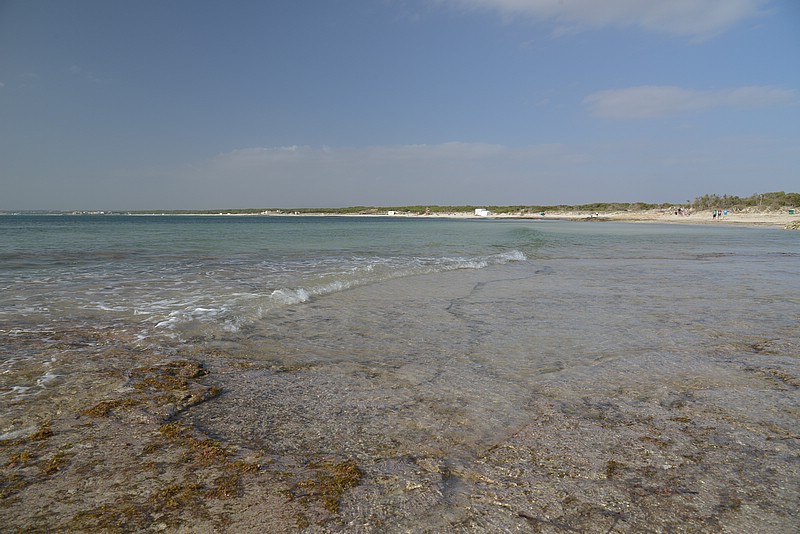 DSC_7639.JPG