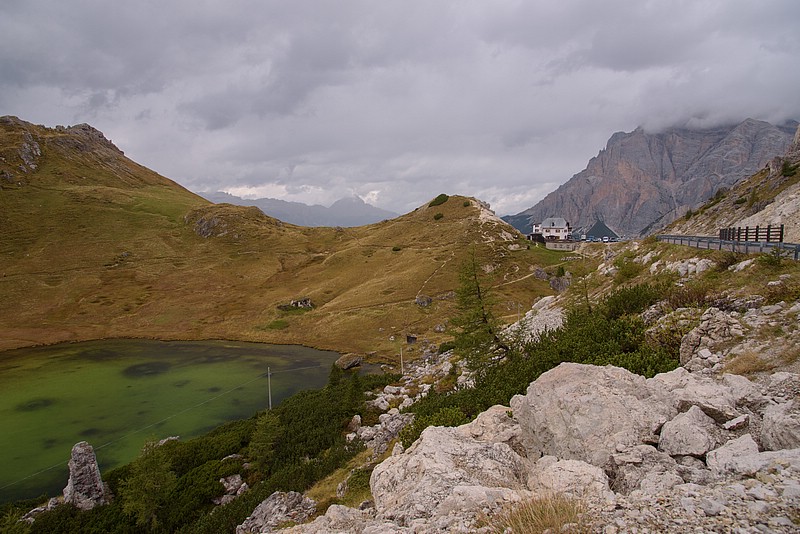 DSC_0964RAW.jpg