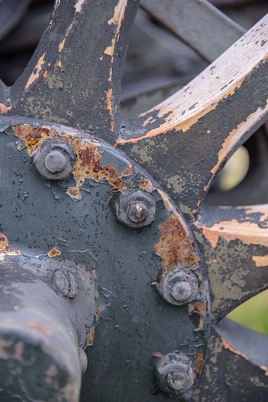 DSC_0995RAW.jpg