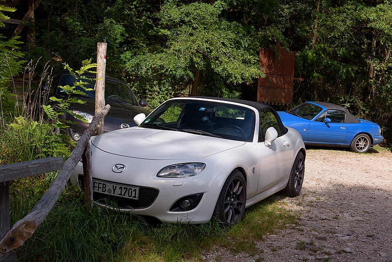 DSC_1177RAW.jpg