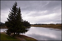 DSC_0778RAW.jpg