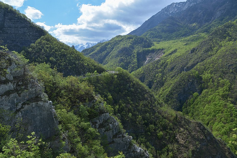 DSC_9298RAW.jpg