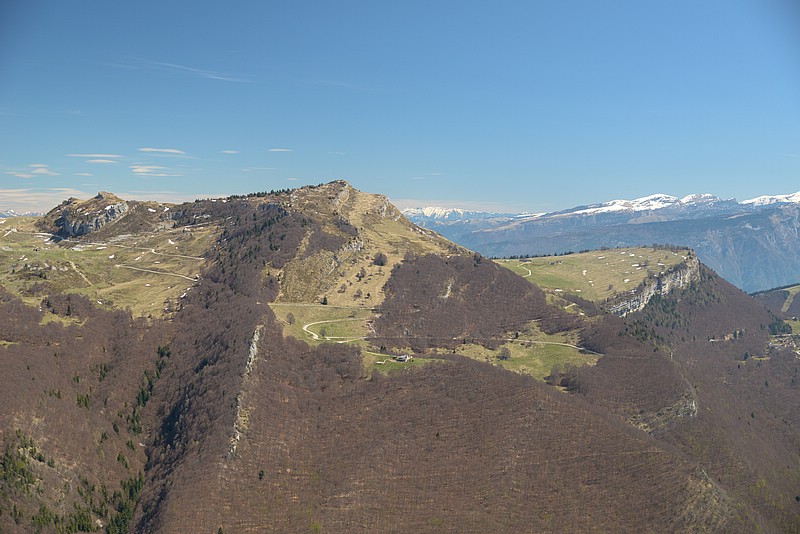 DSC_9419RAW.jpg