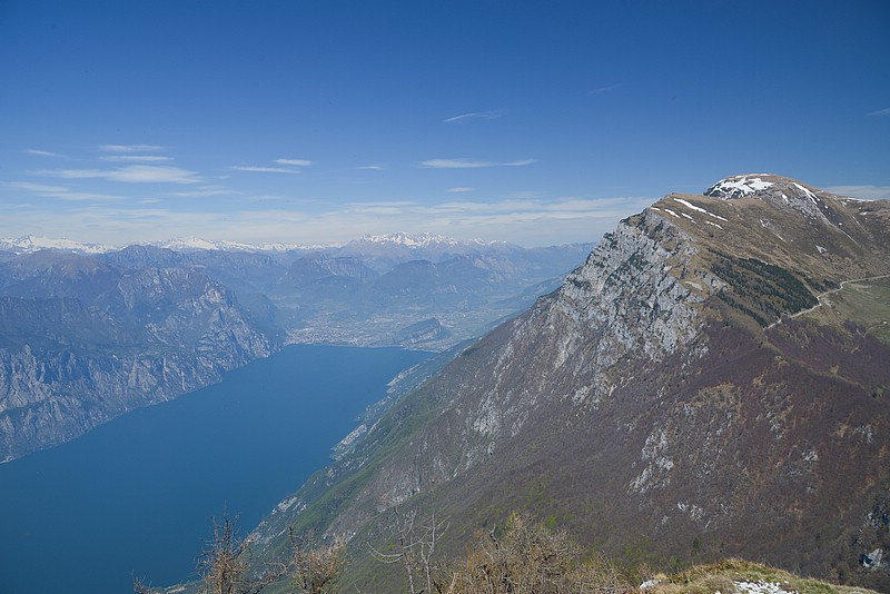 DSC_9524RAW.jpg