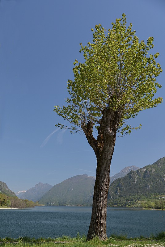 DSC_9760ERAW.jpg
