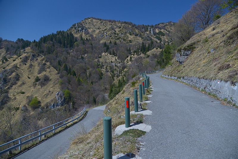 DSC_9786RAW.jpg