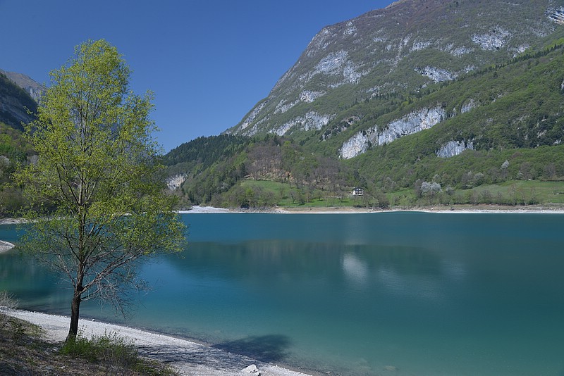 DSC_9824.JPG