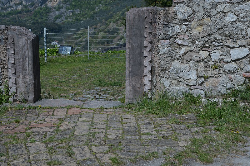 DSC_9896D.jpg