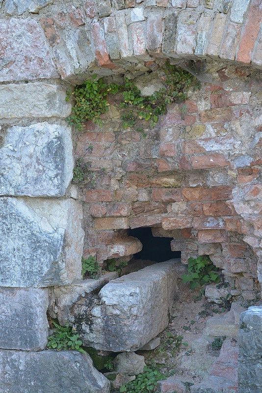 DSC_9898.JPG