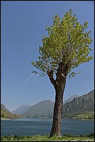 DSC_9760ERAW.jpg