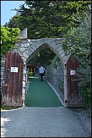 DSC_9858.JPG