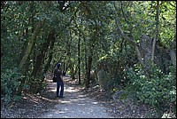 DSC_9948.JPG