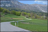 DSC_9966.JPG