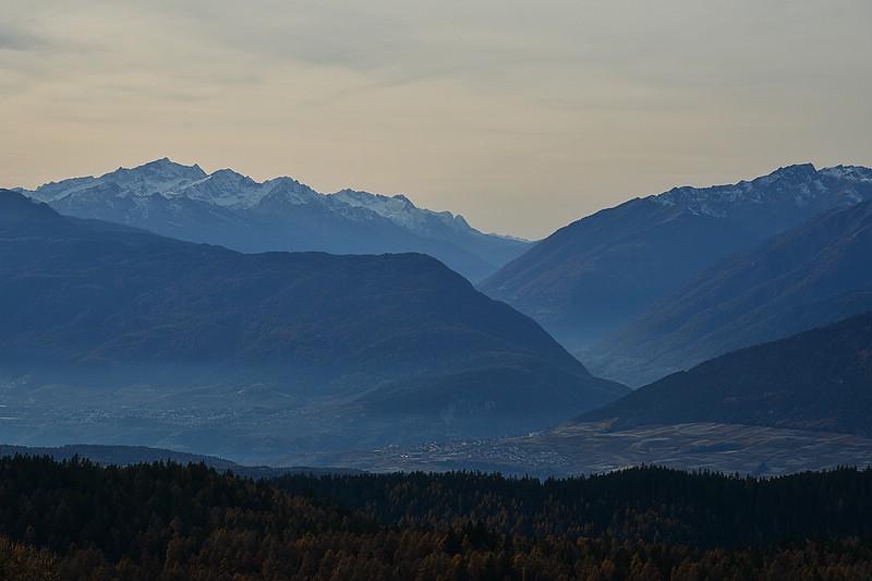 DSC_3373RAW.jpg