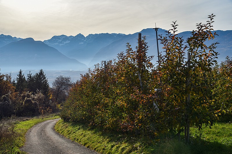 DSC_3393RAW.jpg