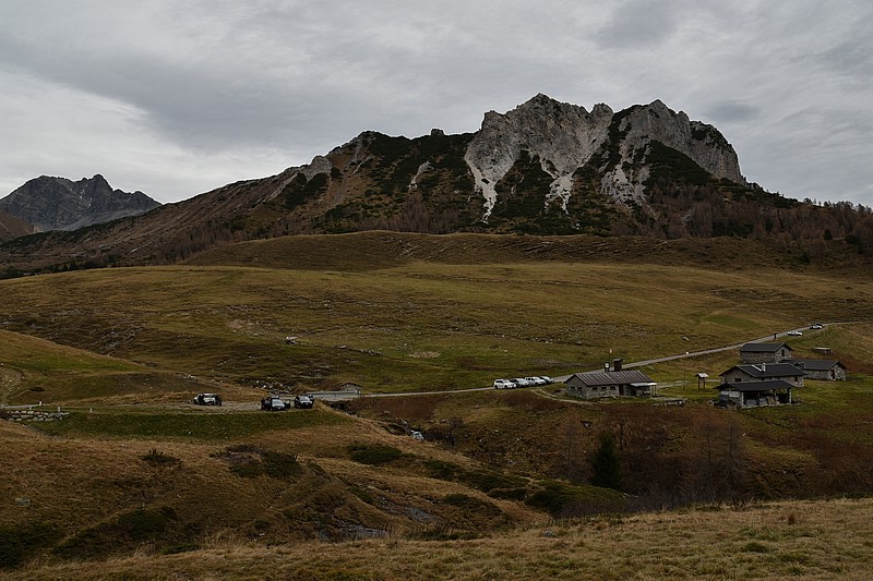 DSC_3604RAW.jpg