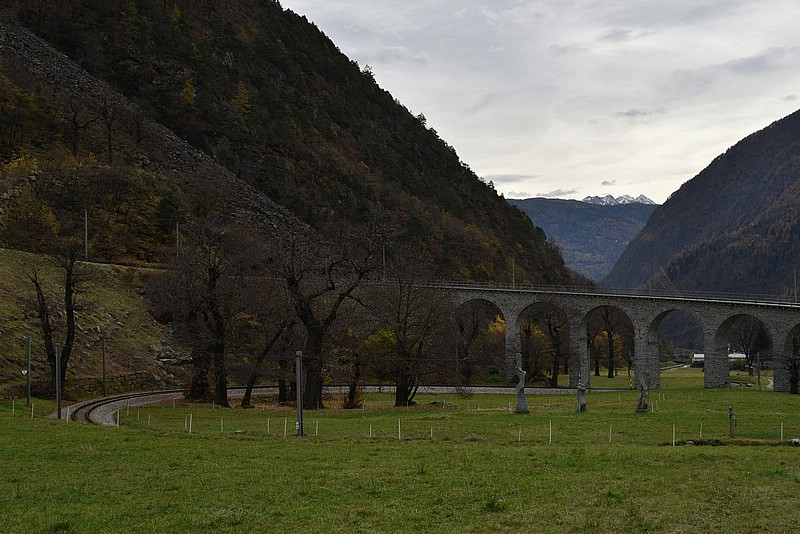 DSC_3635RAW.jpg