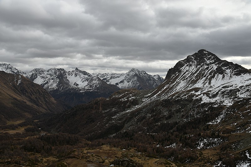 DSC_3652.JPG