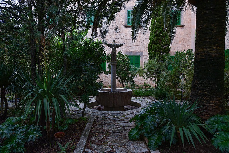 DSC_1988RAW.jpg