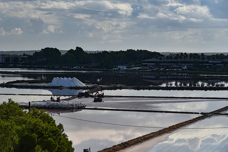 DSC_2308RAW.jpg