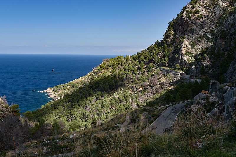 DSC_2310RAW.jpg
