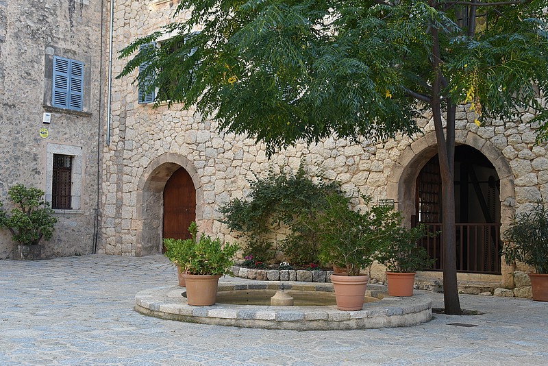 DSC_2447.JPG