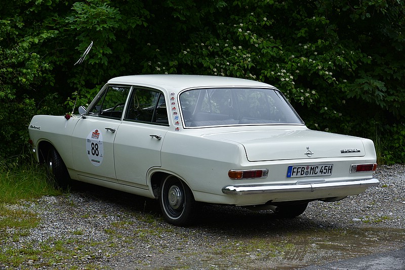 DSC_6505RAW.jpg