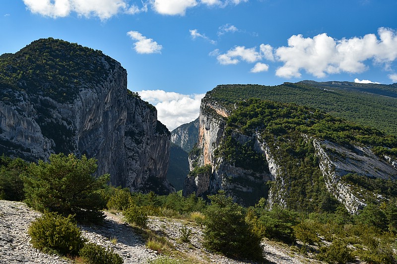 DSC_5263RAW.jpg