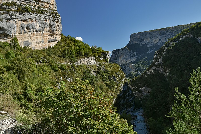 DSC_5272RAW.jpg