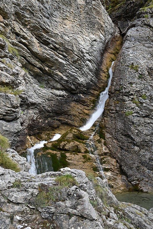 DSC_5315.JPG