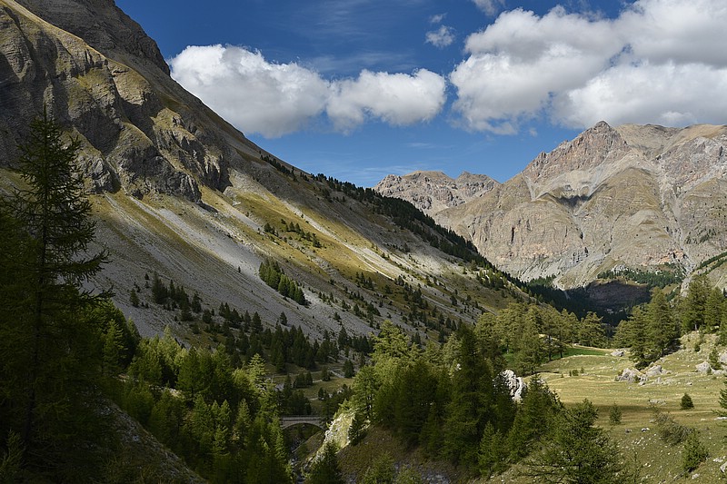 DSC_5318RAW.jpg