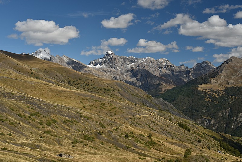 DSC_5329.JPG