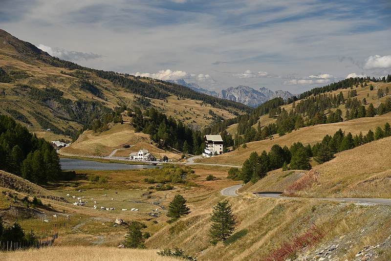 DSC_5332.JPG