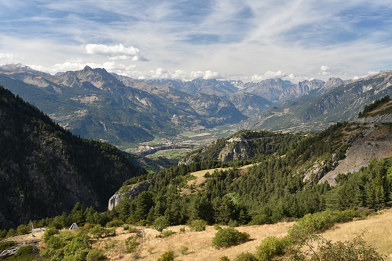 DSC_5335.JPG
