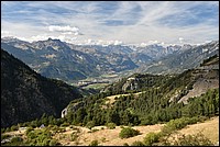 DSC_5335.JPG
