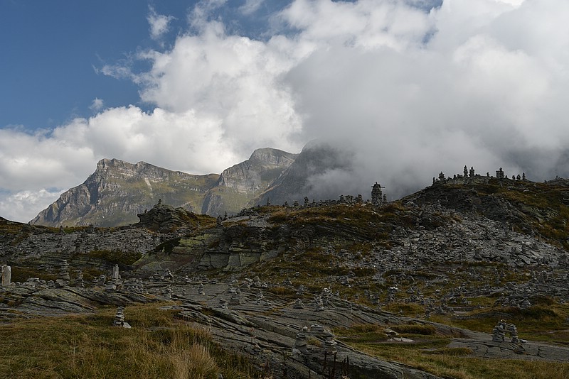 DSC_5598.JPG