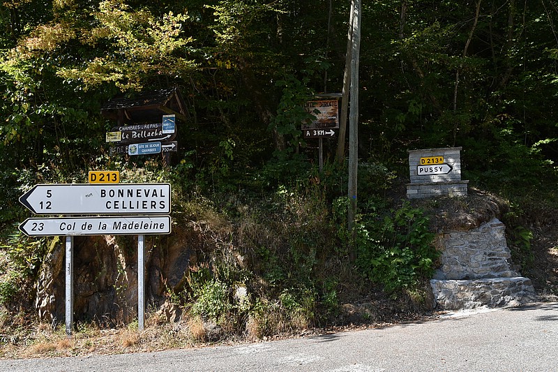 DSC_3056RAW.jpg
